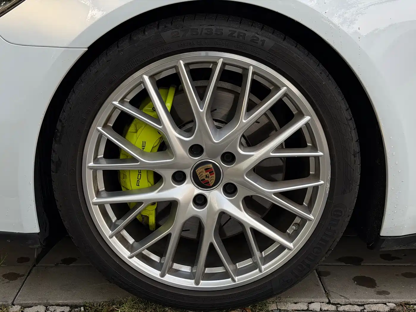  Panamera New Energy
