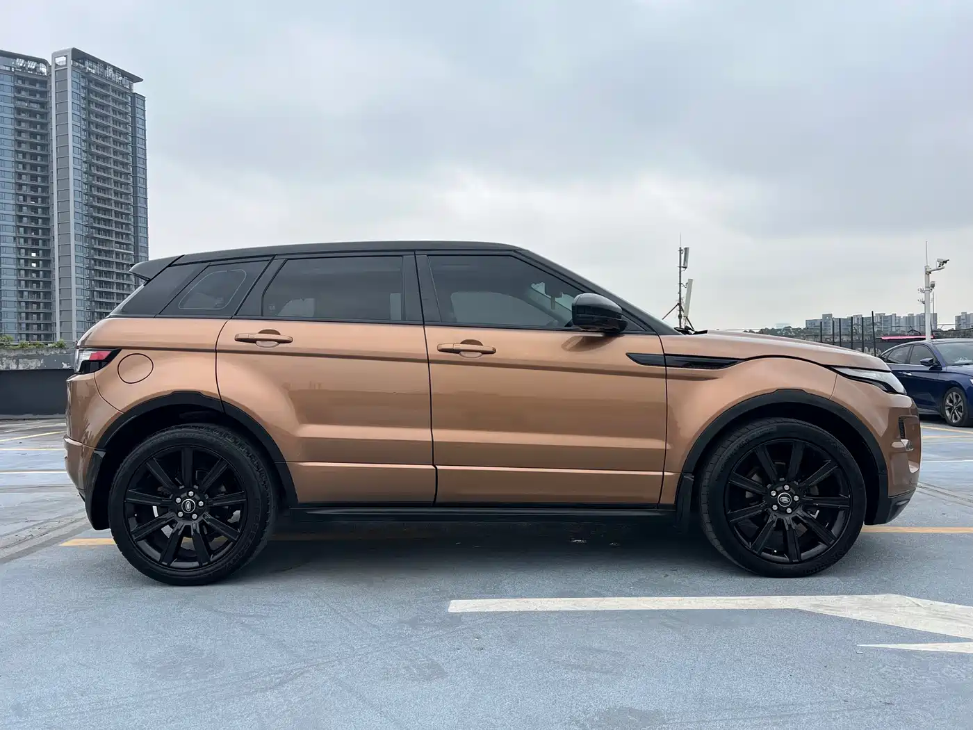 Land Rover Range Rover Evoque (Import) 2014 2.0T 5-door Limited Edition фото 7