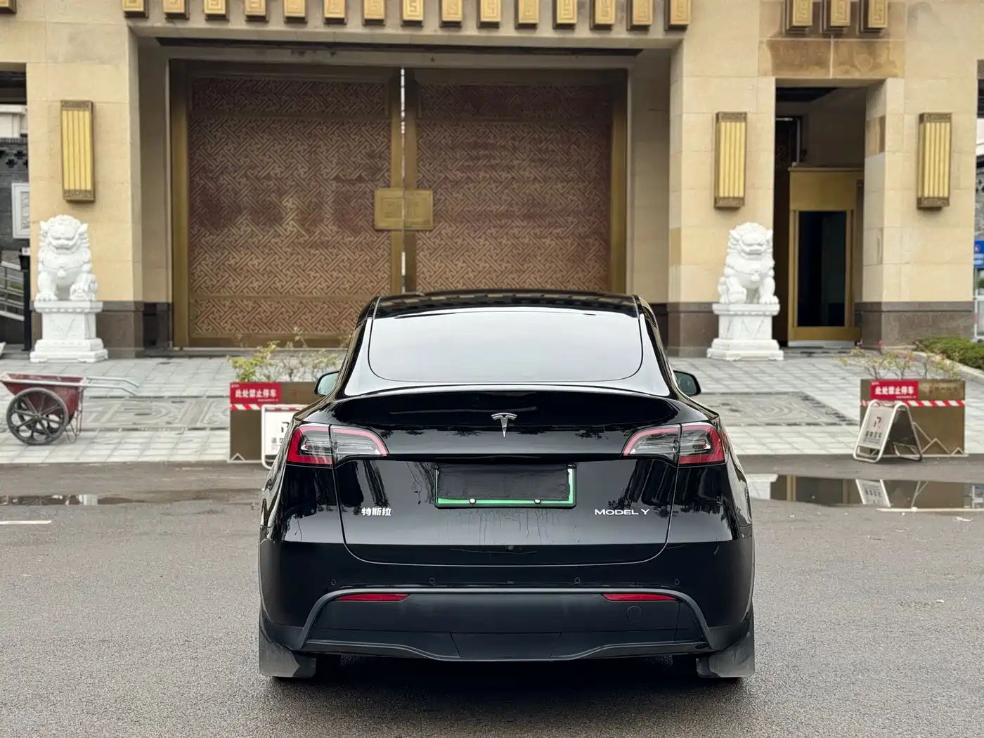 TESLA MODEL Y