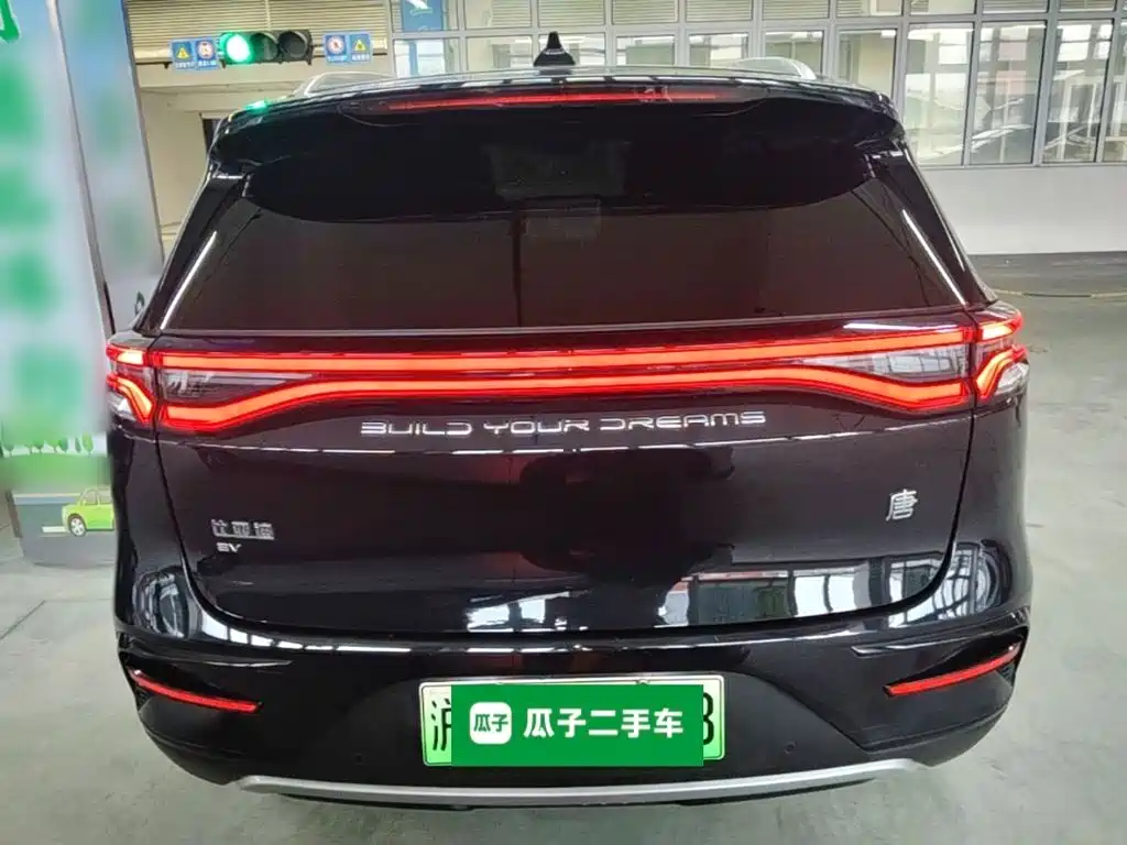صورة 6 - BYD Tang New Energy