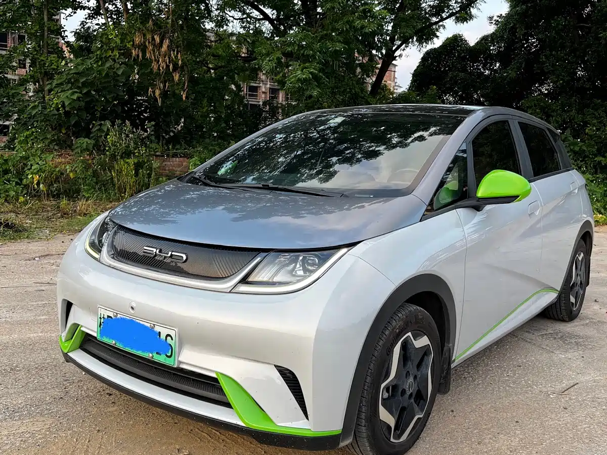 BYD Dolphin 2021 2021 Model 405km Fashion Edition