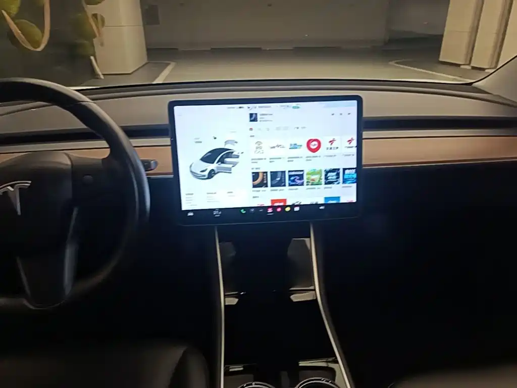 Tesla Model 3 (Import) 2019 2019 Long Range RWD Version