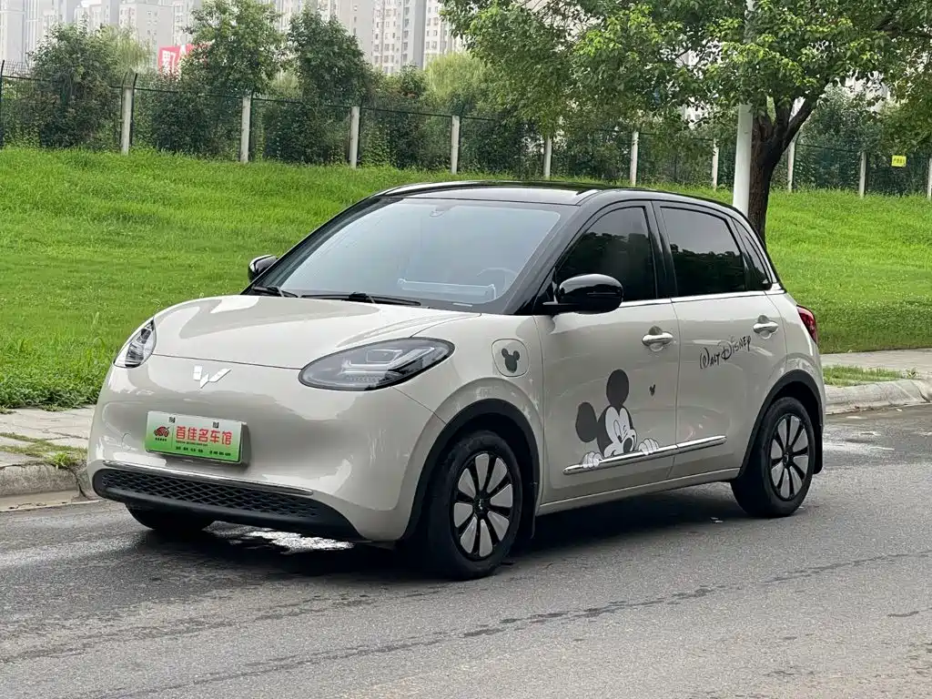 Wuling Motors Wuling Bingo 2024 333km Comfort Edition