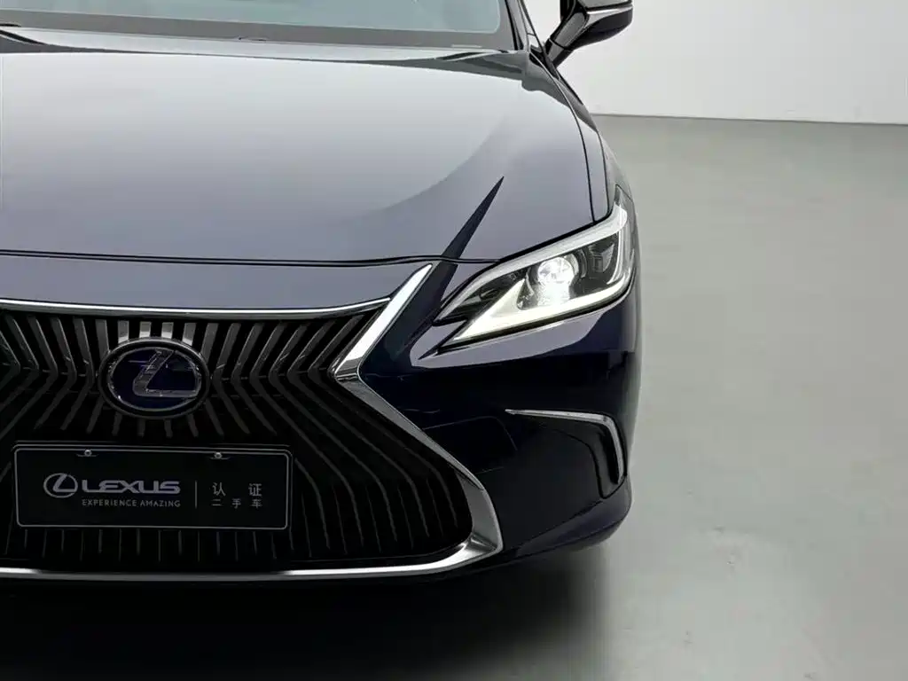 Lexus ES 2018 300h Excellence Edition China V фото 13