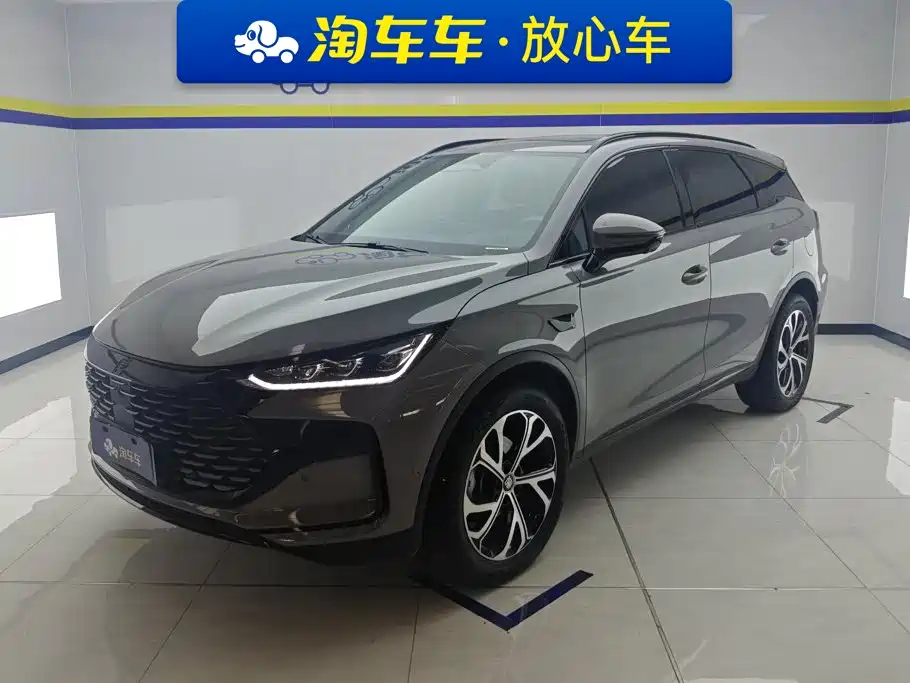 BYD Tang New Energy 2025 2025 Smart Driving Edition DM-i 115KM Flagship