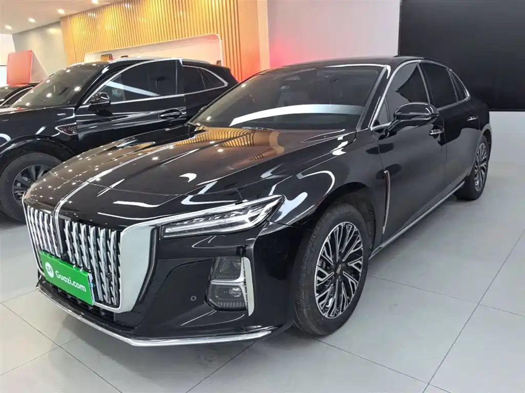 Hongqi H5 2024 2.0T Automatic Smart Connect Flag Smooth Edition