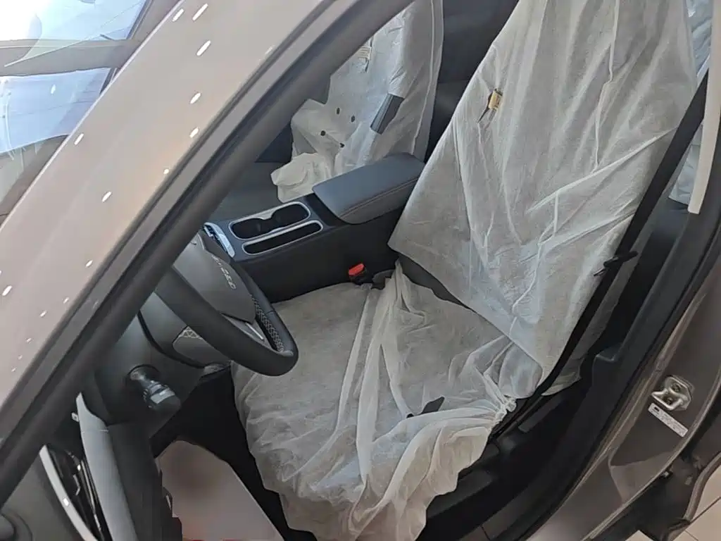 Geely Galaxy Starry Wish 2026 2026 Edition 310km Youth Version