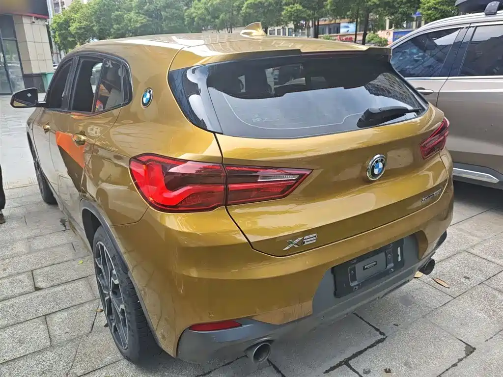BMW X2 (Import) 2018 sDrive25i Exclusive M Off-Road Package China V фото 5