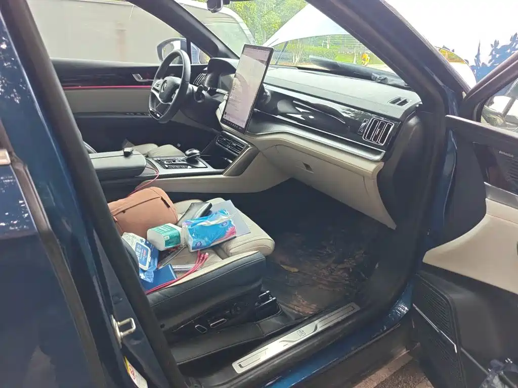 BYD Tang New Energy 2022 EV 635KM AWD Flagship фото 20