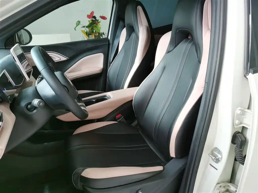 BYD Seagull 2025 305km Freedom фото 11