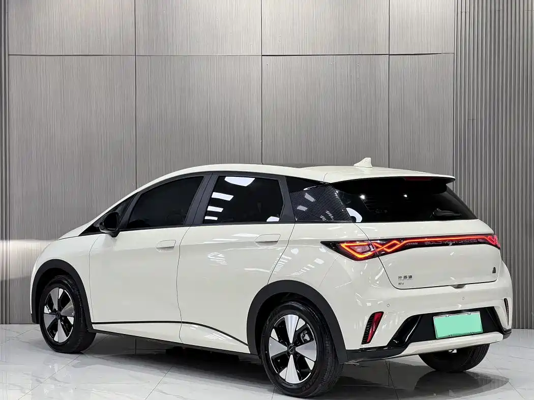 BYD Dolphin 2023 420km Fashion Edition фото 9