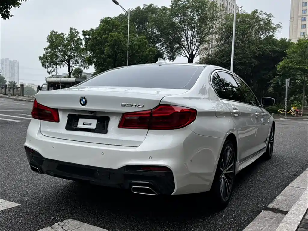 BMW 5 Series 2020 530Li Leading M Sport Package фото 9