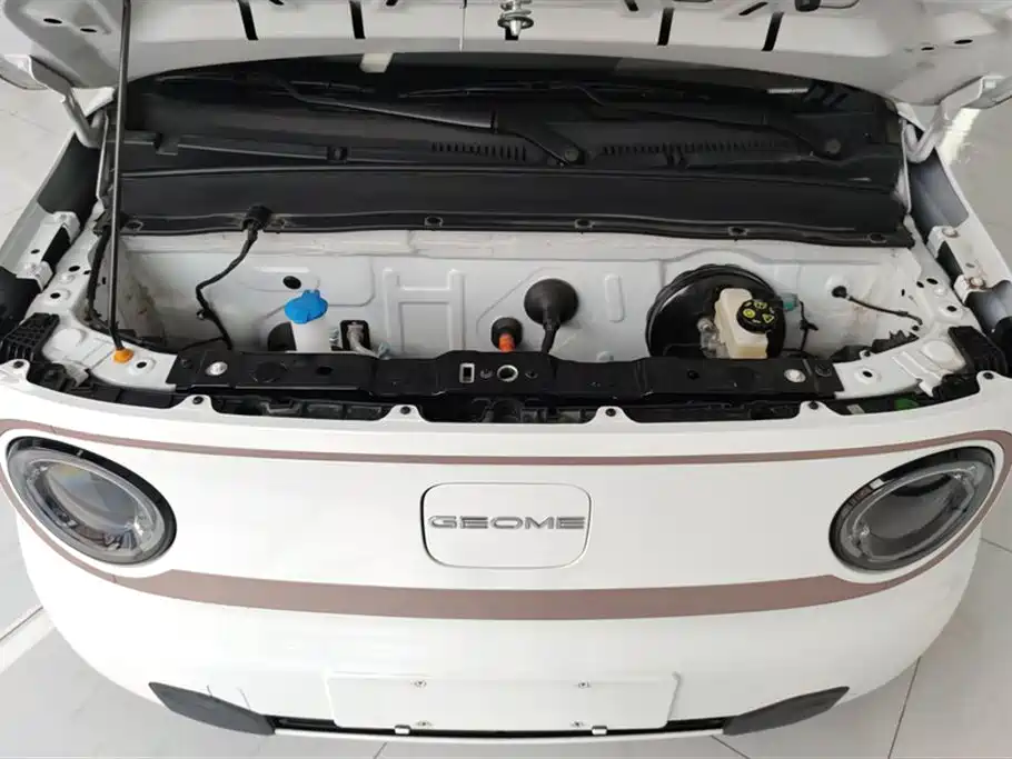 Geely Galaxy Panda 2023 Panda Mini 200km Endurance Bear фото 10