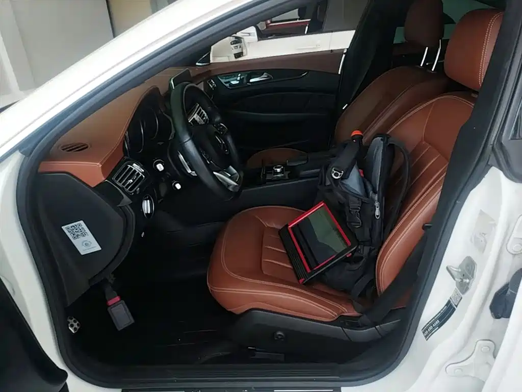 Mercedes-Benz CLS 2017 CLS 320 Elegance Edition фото 15