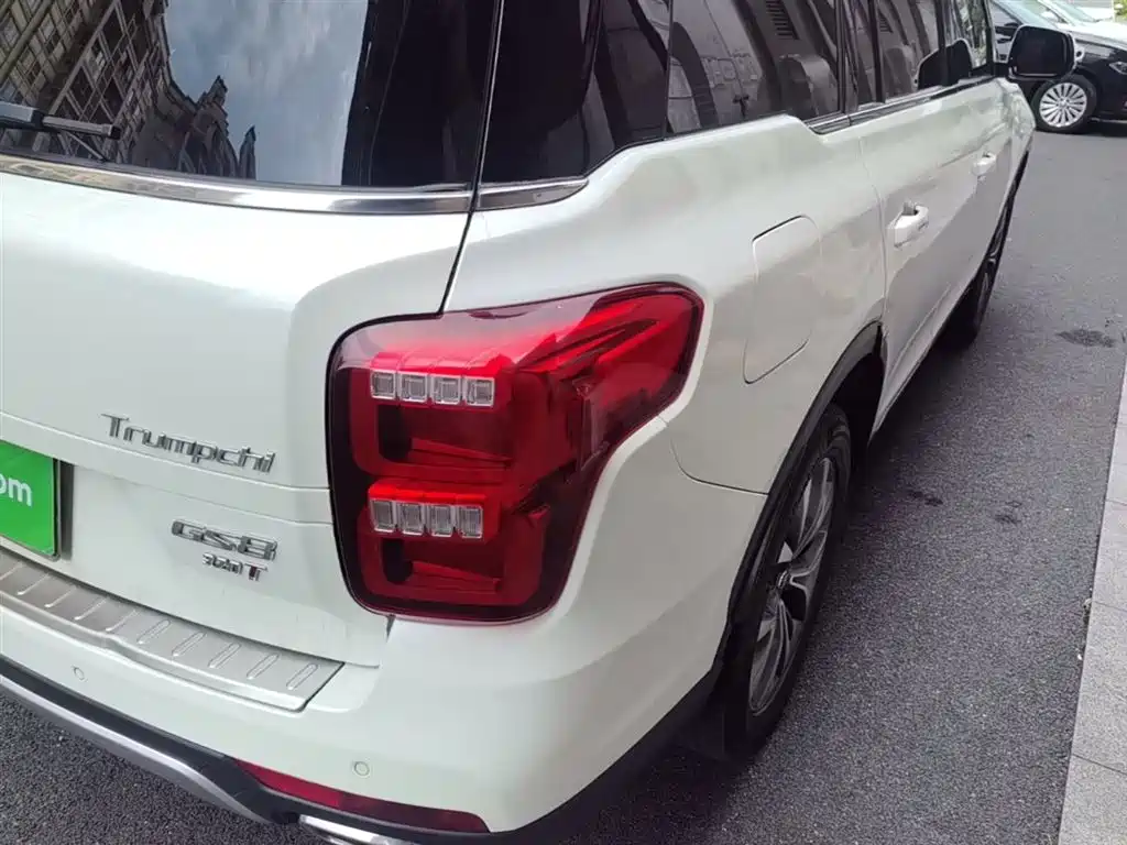 GAC Trumpchi Trumpchi GS8 2017 320T 2WD Luxury Smart Connect (7-seater) фото 8