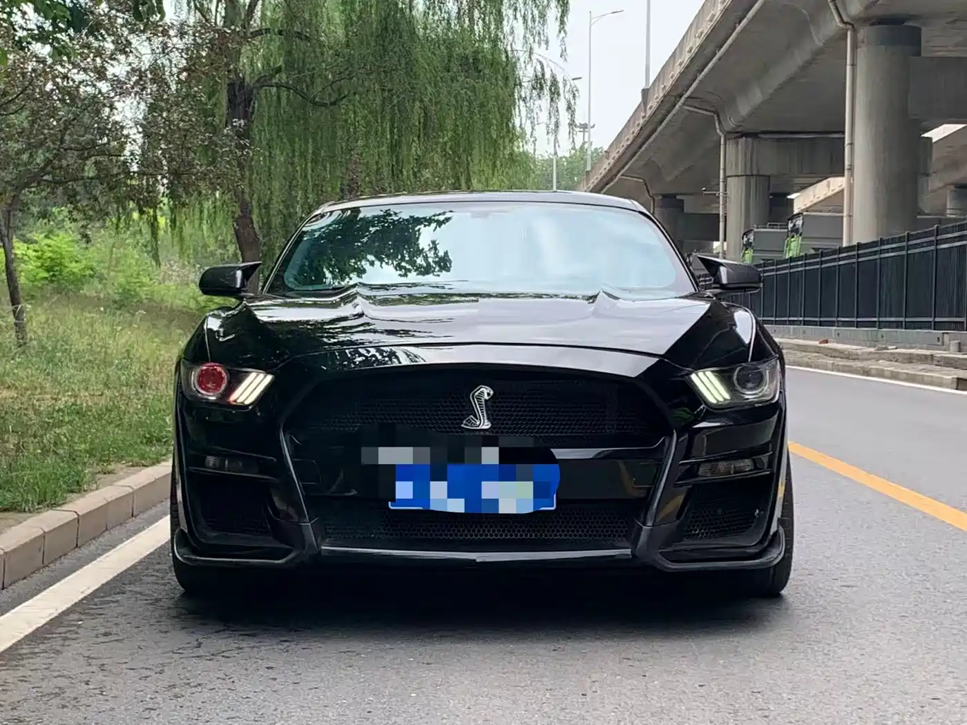 Ford Mustang 2017 2.3T Performance Edition фото 2