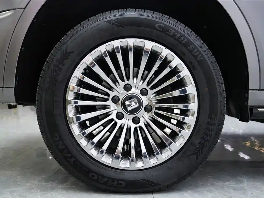 Tank 500 2022 3.0T Business Edition Zaojing 5-Seater фото 5