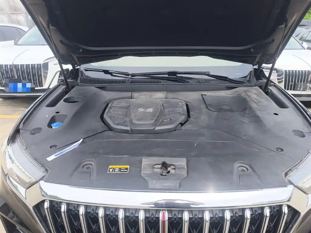 Hongqi HS5 2022 Facelift 2.0T Smart Flag Enjoyment Edition фото 20