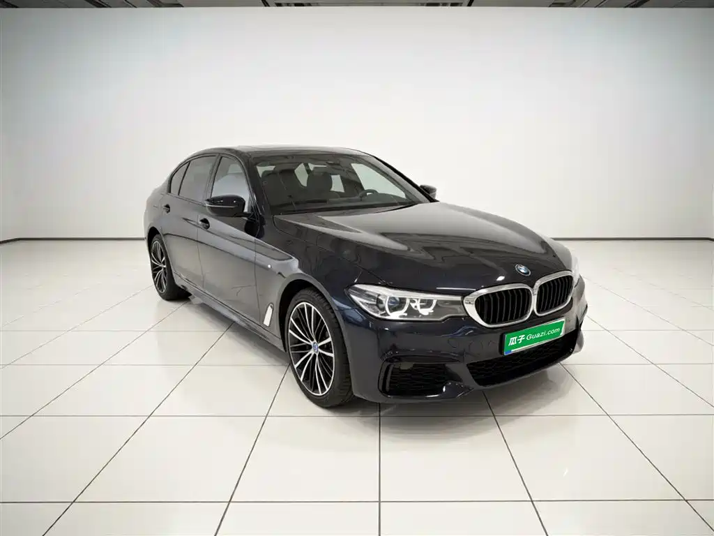 BMW 5 Series 2019 Facelift 530Li Leading M Sport Package фото 22