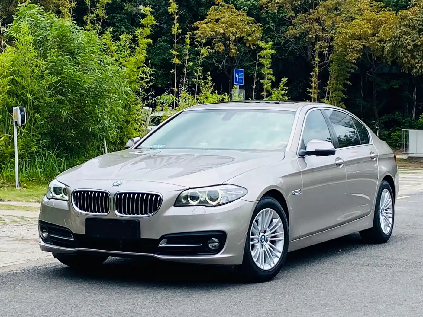 BMW 5 Series 2014 525Li Leading