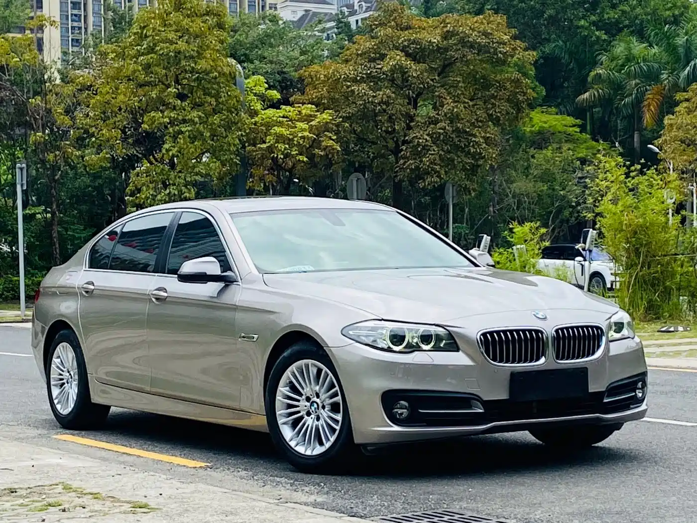 BMW 5 Series 2014 525Li Leading фото 3