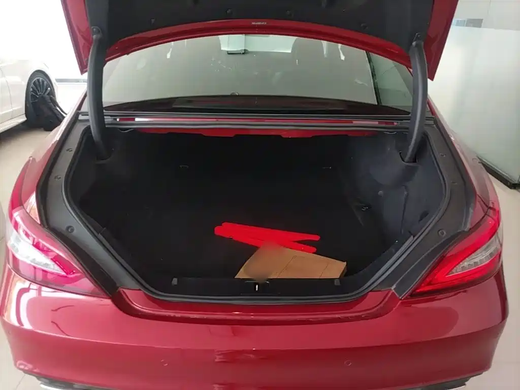 Mercedes-Benz CLS 2015 CLS 320 фото 19