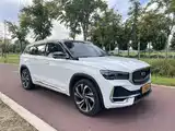Фото 3 - Geely Monjaro