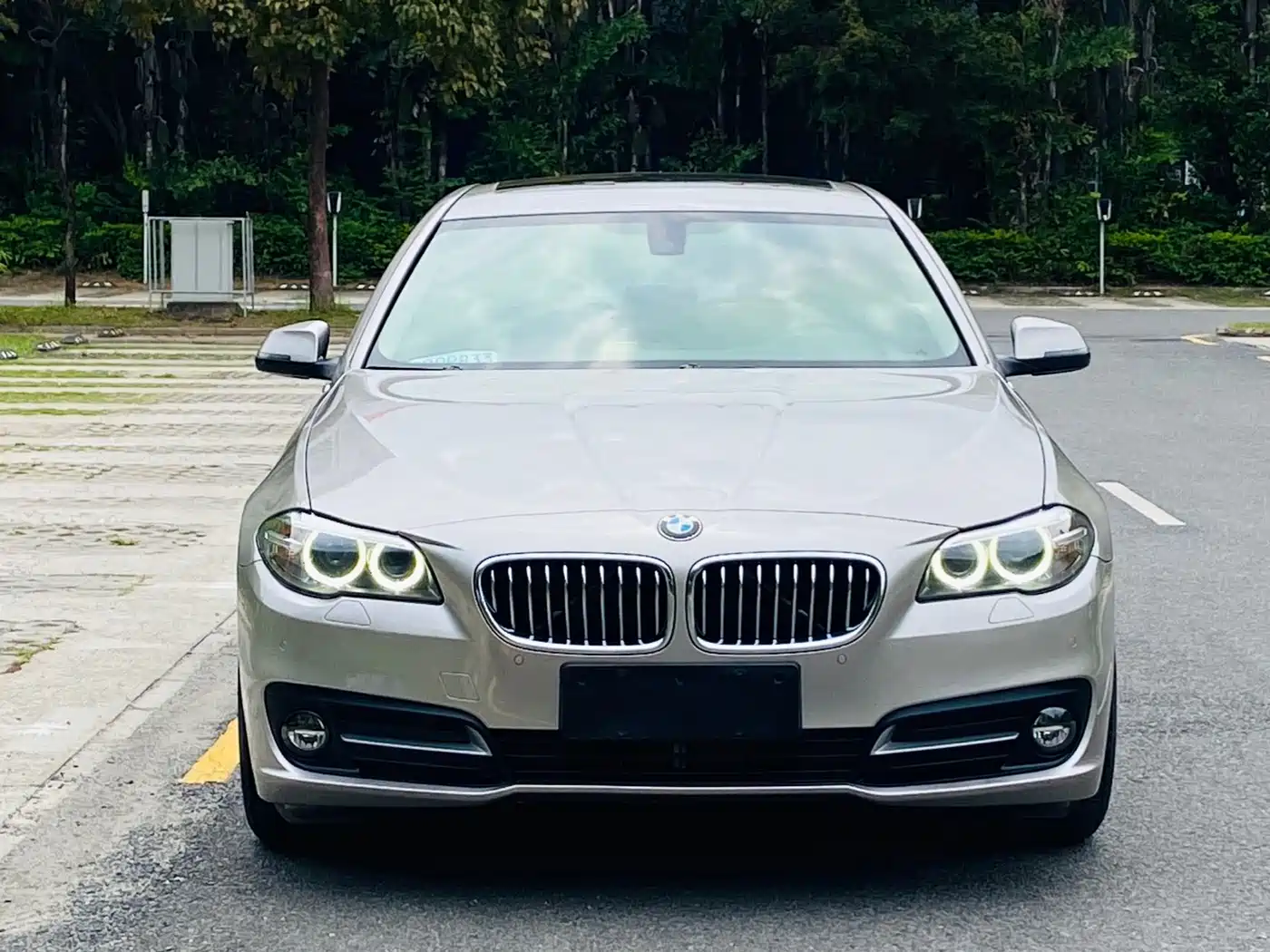 BMW 5 Series 2014 525Li Leading фото 2