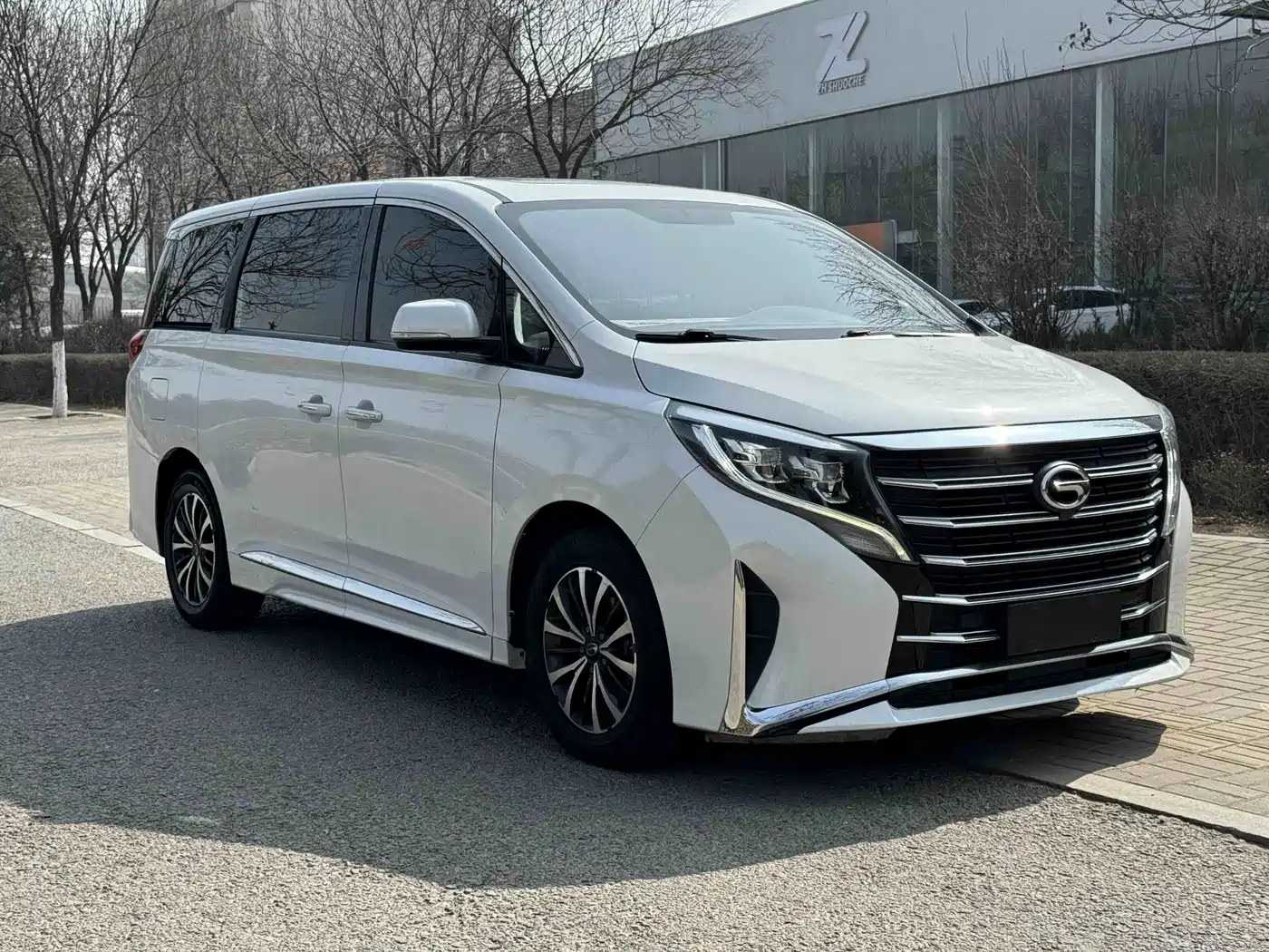 GAC Trumpchi Trumpchi M8 2021 Leading Show Series 390T Premium Edition фото 3