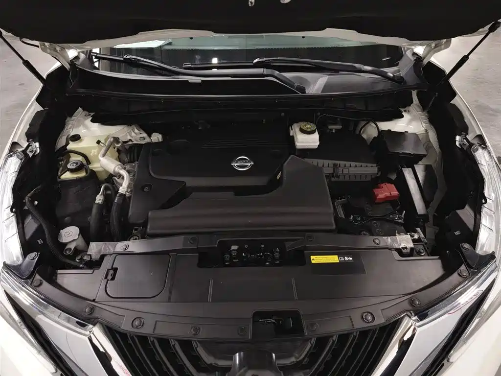 Nissan Murano 2017 2.5L XL 2WD Smart Premium Edition фото 6