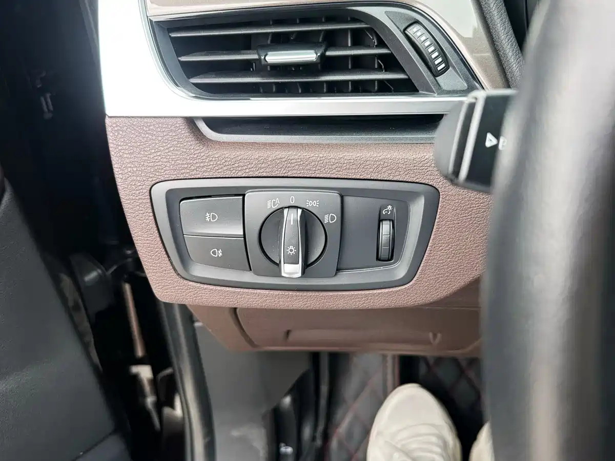 BMW X1 New Energy 2018 xDrive25Le Luxury Model фото 13
