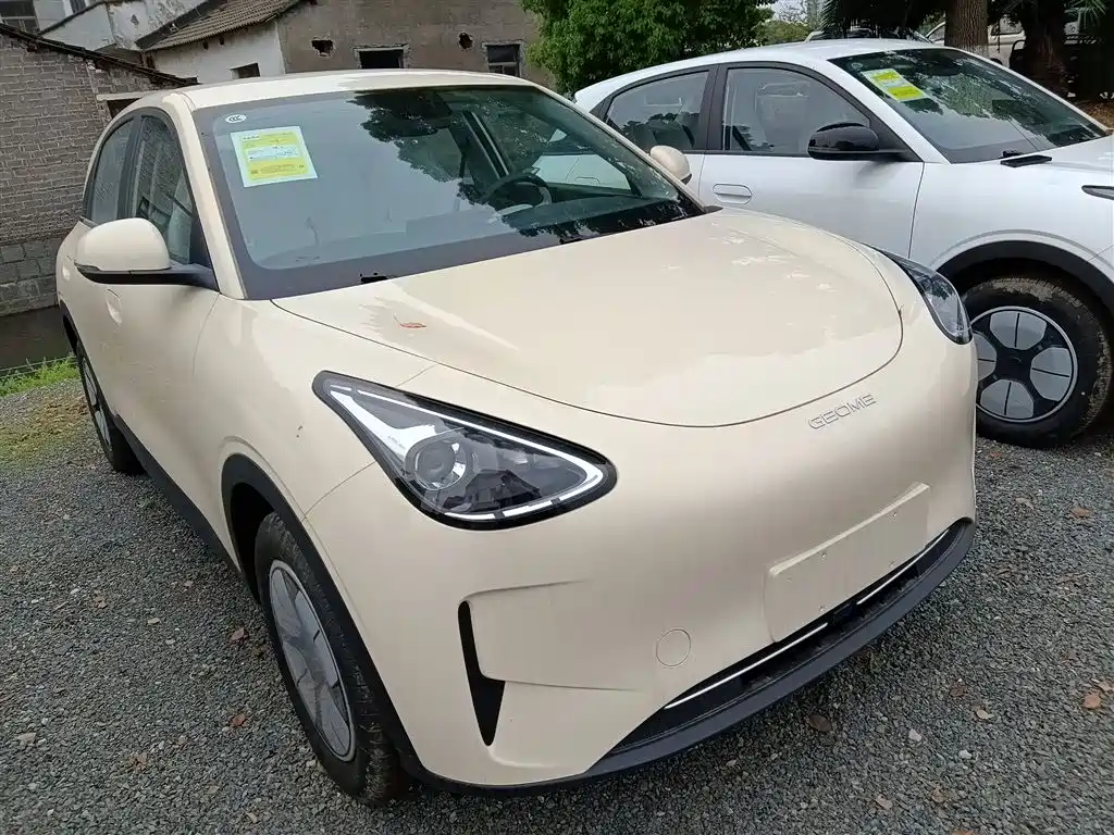 Geely Galaxy Starry Wish 2026 Edition 310km Youth Version фото 4