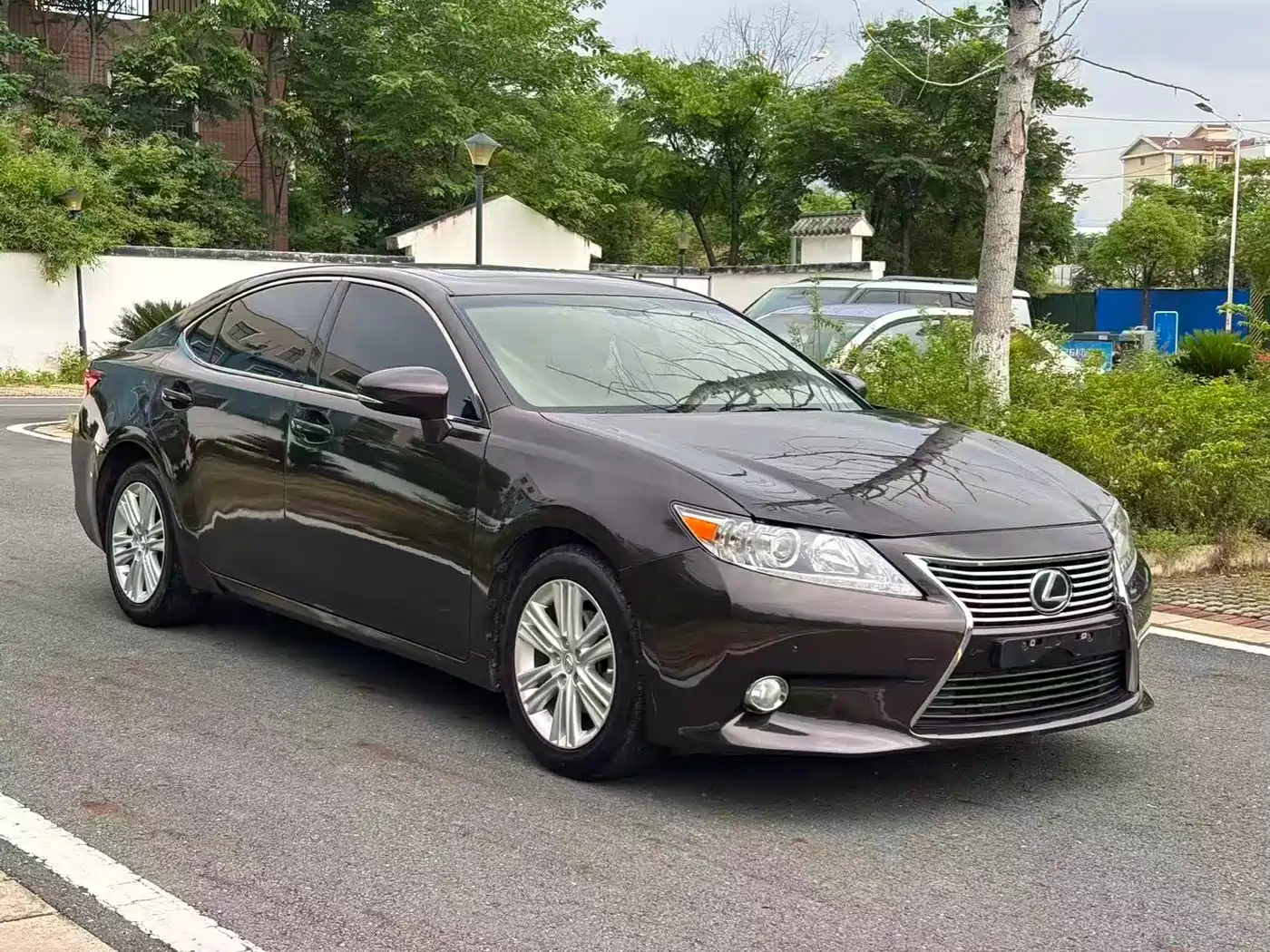 Lexus ES 2014 250 Elite Edition фото 3
