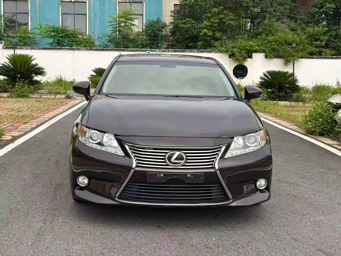 Lexus ES 2014 250 Elite Edition фото 2