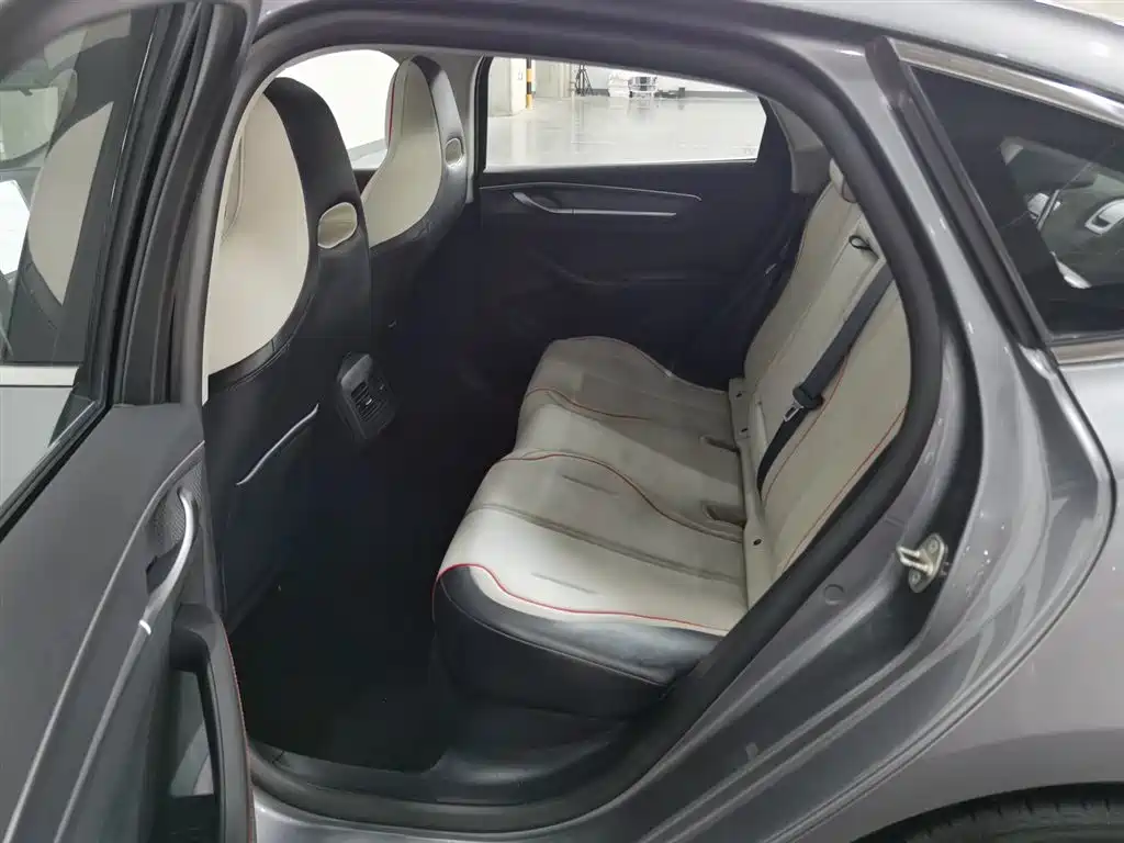 BYD Destroyer 05 2023 Champion Edition DM-i 55KM Premium фото 15
