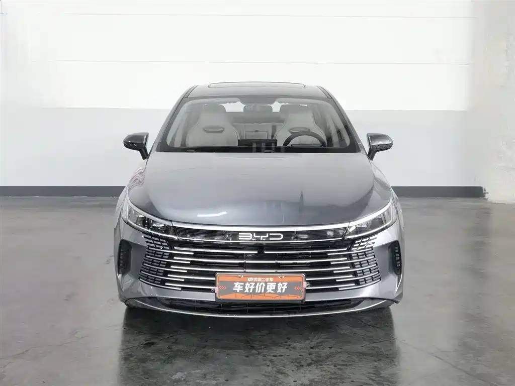 BYD Destroyer 05 2023 Champion Edition DM-i 55KM Premium фото 3