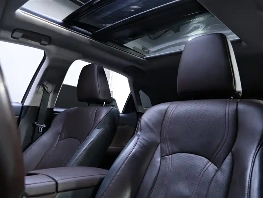 Lexus RX 2016 300 4WD Elegance Edition China VI фото 16