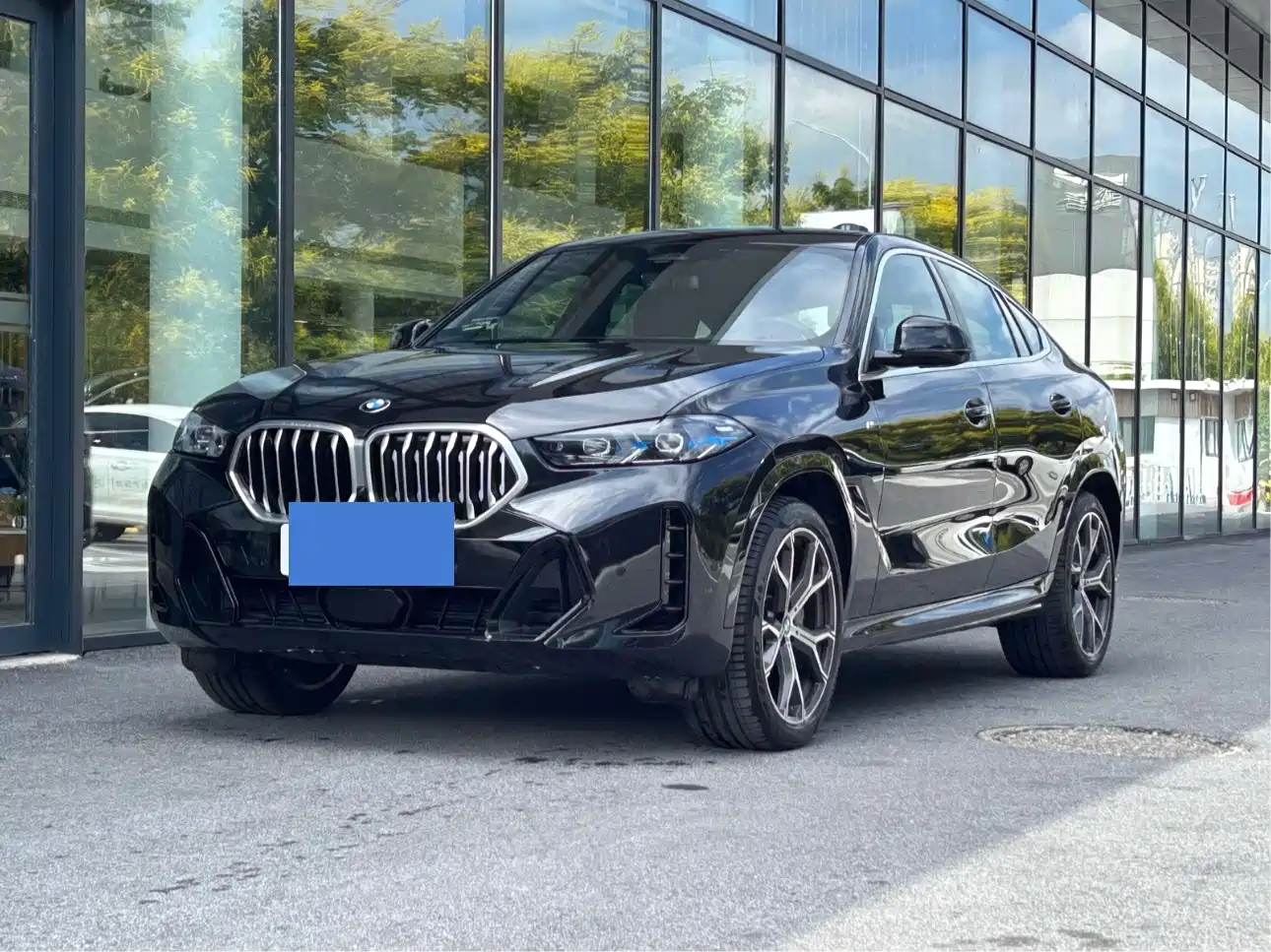 Фото 1 - BMW X6