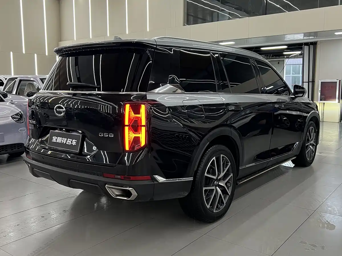 GAC Trumpchi Trumpchi GS8 2022 Pilot Series 2.0TGDI 2WD Luxury Smart Connect Edition (7-Seater) фото 3