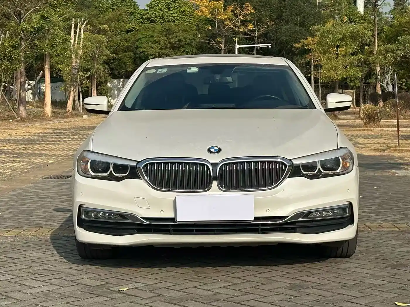 BMW 5 Series 2018 Facelift 530Li xDrive M Sport Package фото 2
