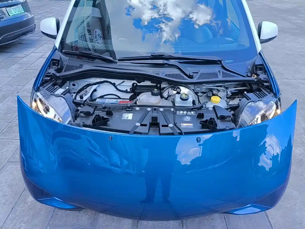 smart fortwo 2019 2018 1.0L 52kW Hardtop Passion Edition China V