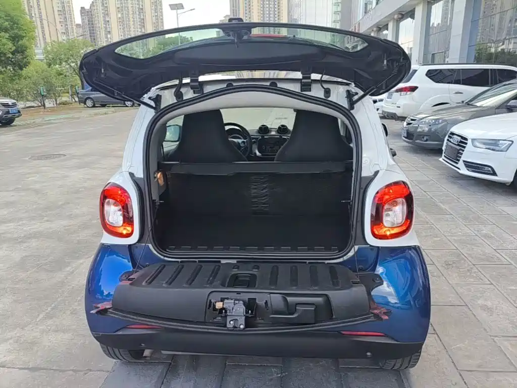 smart fortwo 2019 2018 1.0L 52kW Hardtop Passion Edition China V