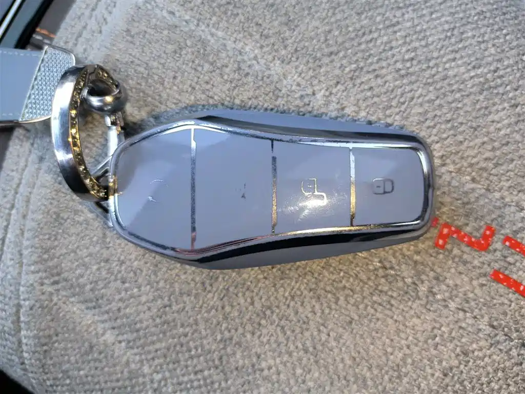 BYD Qin PLUS 2023 Champion Edition DM-i 55KM Surpassing фото 9