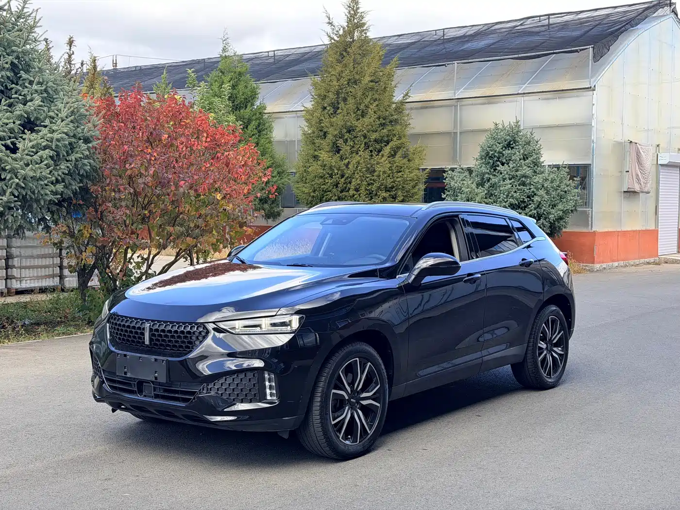 WEY VV7 2017 2017 VV7c 2.0T Flagship