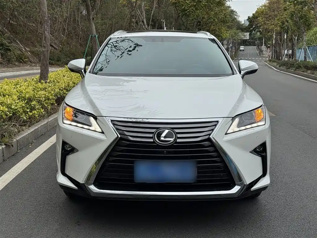 Lexus RX 2016 300 2WD Elite Edition China VI фото 7