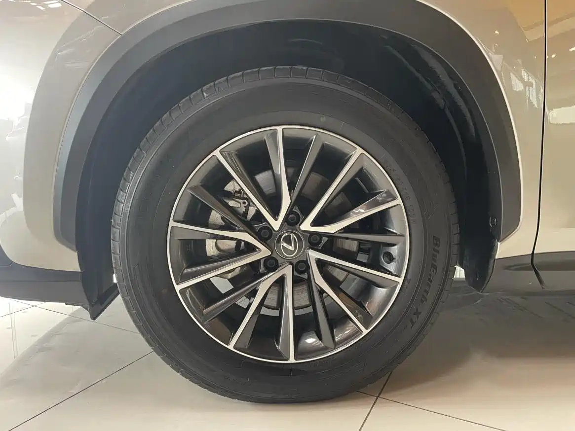 Lexus NX New Energy 2023 2023 400h+ Joy Edition