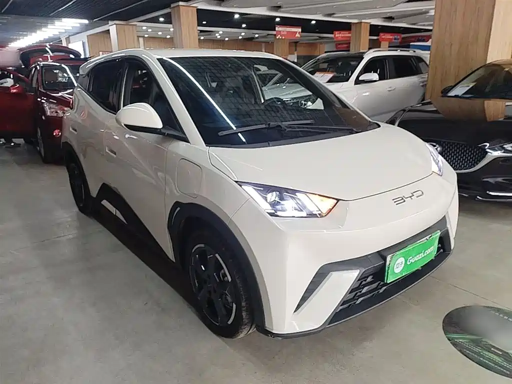 BYD Seagull 2023 Freedom Edition фото 4