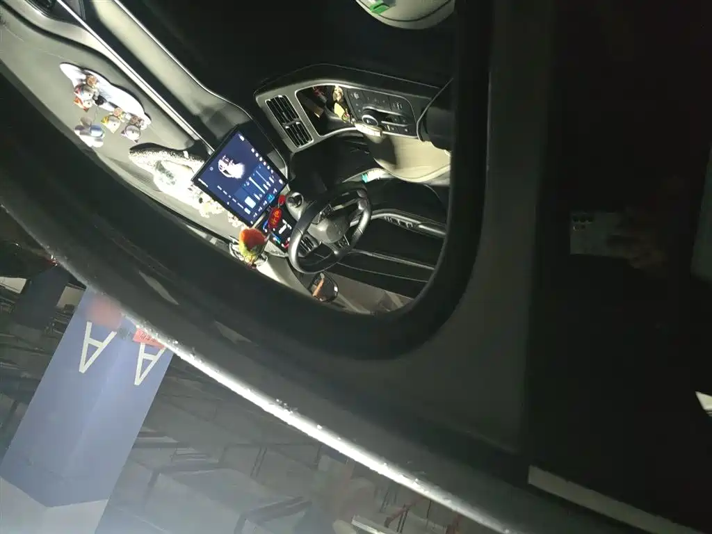 BYD Destroyer 05 2024 Glory Edition DM-i 55KM Luxury фото 19