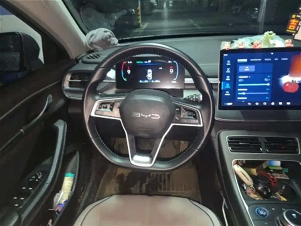 BYD Destroyer 05 2024 Glory Edition DM-i 55KM Luxury фото 13