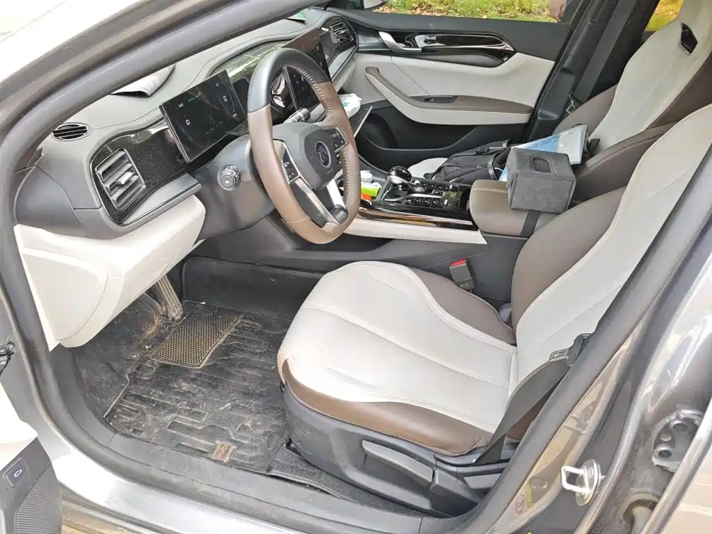 BYD Qin PLUS 2024 Glory Edition DM-i 55KM Leading фото 12